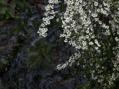 -中国茶叶博物馆(双峰馆区)