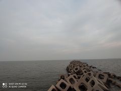 -东疆建设开发纪念公园