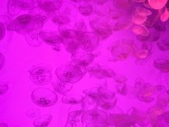 -沈阳海洋探索中心