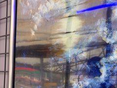 -移动谜城·大笨象密室逃脱(五棵松店)