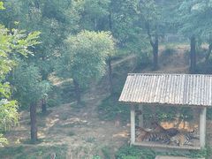 -石家庄市动物园