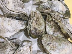 -蚝专家(北滘店)
