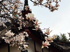 -望江楼公园