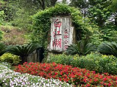 -广州白江湖森林公园