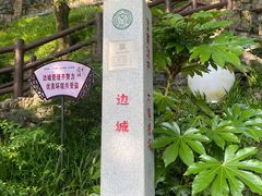 -边城茶峒景区