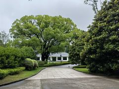 -上海虹桥迎宾馆