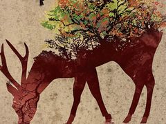 -紫光园·烤鸭·北京菜(劲松店)