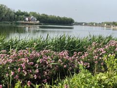 -稻香湖景欢乐岛温泉城堡