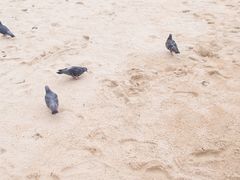 -海云台海滩