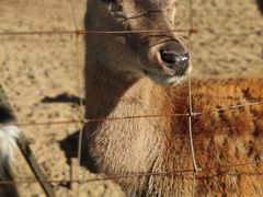 -亿利库布其七星湖沙漠生态旅游区