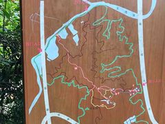-滴水岩森林公园