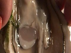 -Oyster Talks 四度蚝法餐厅