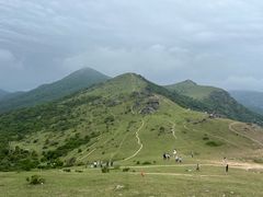 -大姆山草场