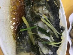 清蒸石斑鱼-春园海鲜广场D区6号(钟姐海鲜加工店)