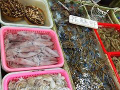 -大湾区中央湿地公园-十九涌