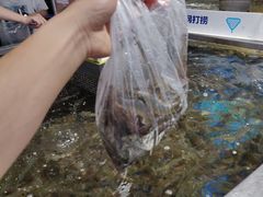 -盒马鲜生(莱蒙都会店)