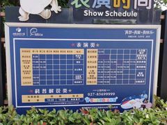 -海合安武汉极地海洋公园