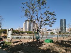 -后襄河公园