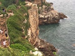 -杨梅坑