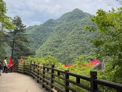 -娄山关景区