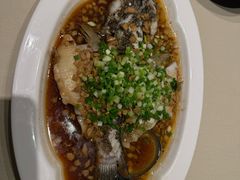 -皇朝会.经典传统粤菜(外滩店)