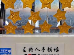 -中央广播电视塔