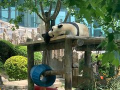 -大连森林动物园