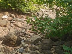 -白塘生态植物园