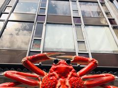 门面-蟹道乐(道顿堀本店)