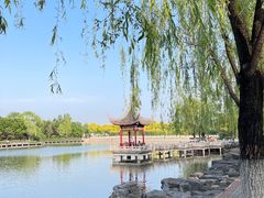 -北宫国家森林公园