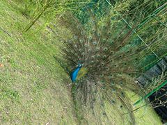 -桃源咖啡厅(武夷山大红袍山庄店)