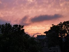 -仙霞关景区
