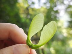 -东南悬空寺方广岩