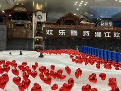 -湘江欢乐城欢乐雪域