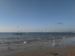 -老虎石海上公园