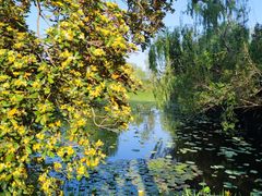 -溱湖国家湿地公园