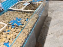 -旺角小渔村·海肠捞饭开创者(二马路店)