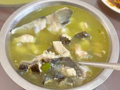 清炖鲟鱼-青龙潭鱼庄