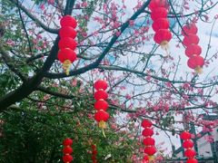 -齐汇维景大酒店游泳馆(山东政协大厦齐汇维景)