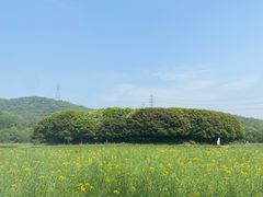 -铭莲·八卦田水上餐厅
