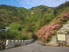 -木兰云雾山