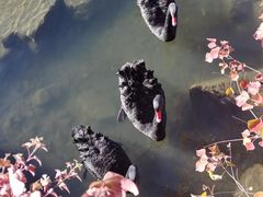 -上海怡沁园度假酒店