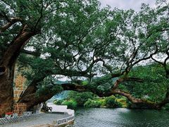 -上坦村