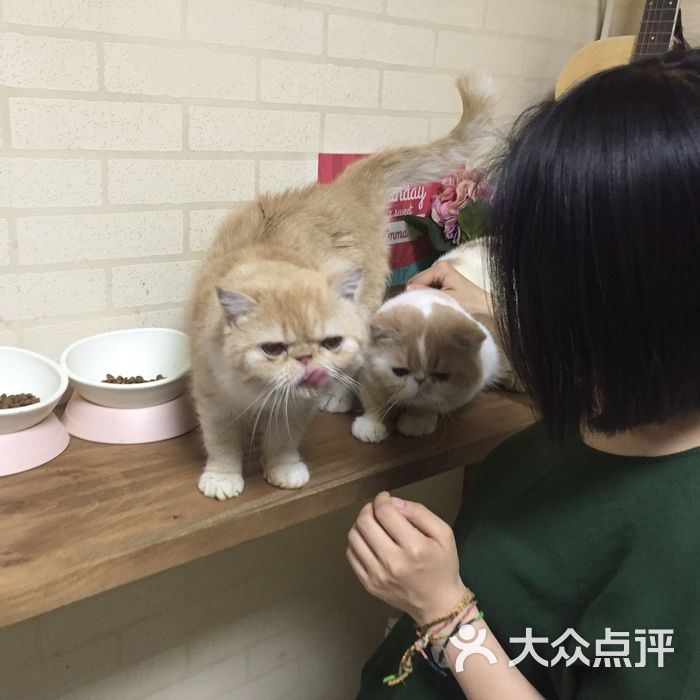 四合院轰趴馆之铁瓷儿