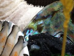 -鲔屋寿喜烧