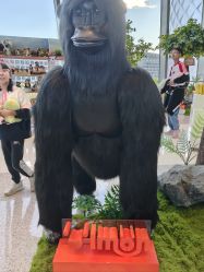 -IMON·HANSA潮玩玩偶毛绒玩具(通州万象汇店)