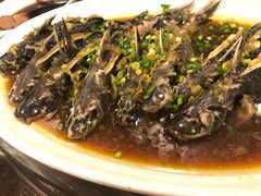 -漫渡庄绿岛花园•隐世庭园菜(滨湖店)