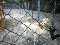 -长白岛森林公园