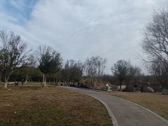 -白鹭湾湿地公园