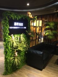 点击看大图 -藤野造型